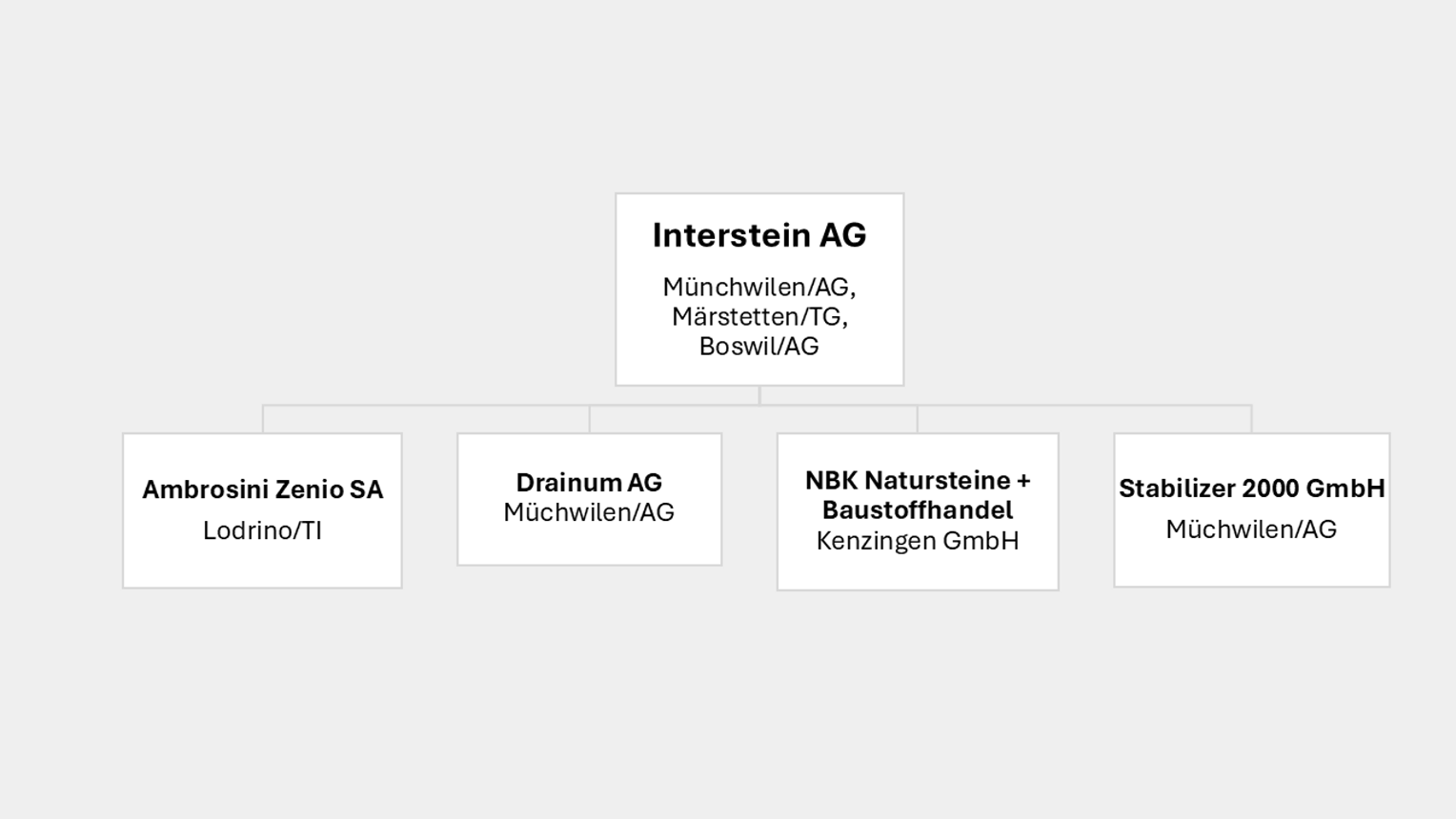 Organigramm Interstein AG